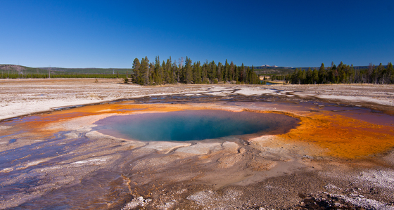 Yellowstone National Park