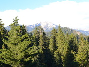 Sequoia National Park