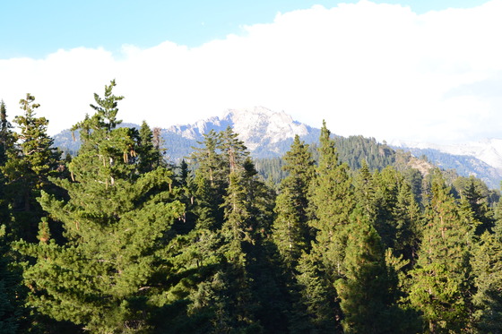 Sequoia National Park