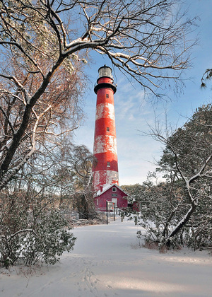 Assateague National Wildlife Refuge (Virginia side)