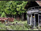 Very smal cabin built by G G father 