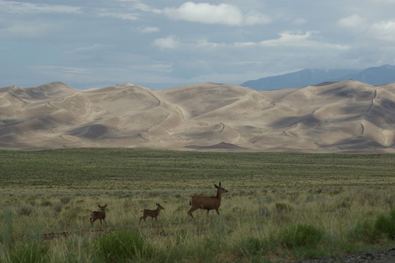 Great Sand Dunes