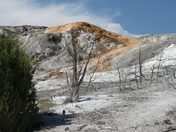 Yellowstone National Park