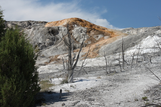 Yellowstone National Park