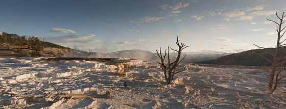 Yellowstone