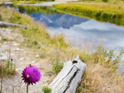 Grand Teton National Park