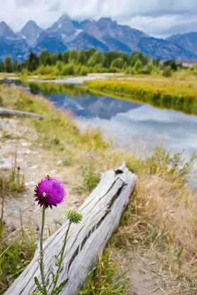 Grand Teton National Park