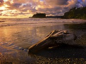Olympic National Park