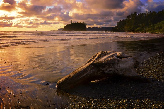 Olympic National Park