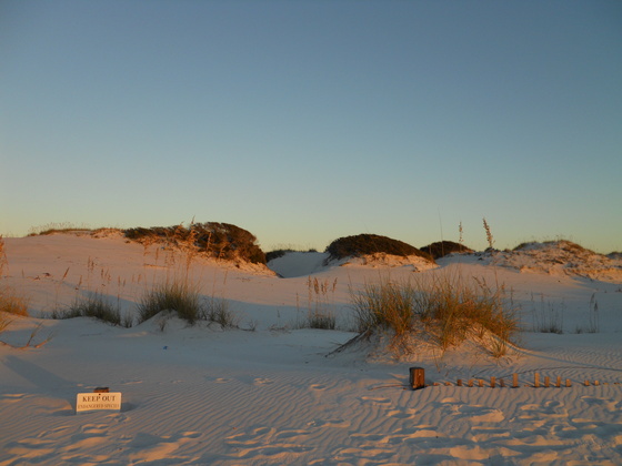 Gulf Island National Seashore