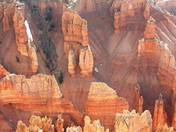 Cedar Breaks National Monument