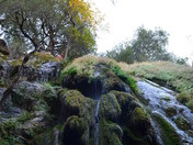 Los Padres National Forest