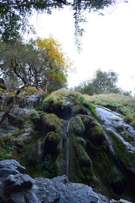 Los Padres National Forest