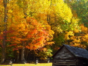 Great Smokey Mountains National Park