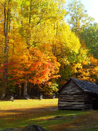 Great Smokey Mountains National Park