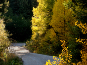Shrine Pass Road, Management District