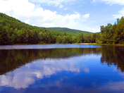 Jefferson National Forest / Mt. Rogers NRA