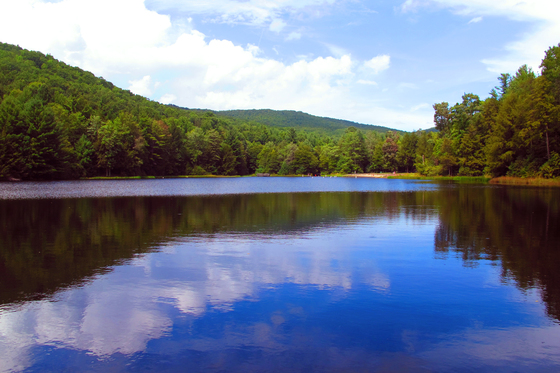 Jefferson National Forest / Mt. Rogers NRA