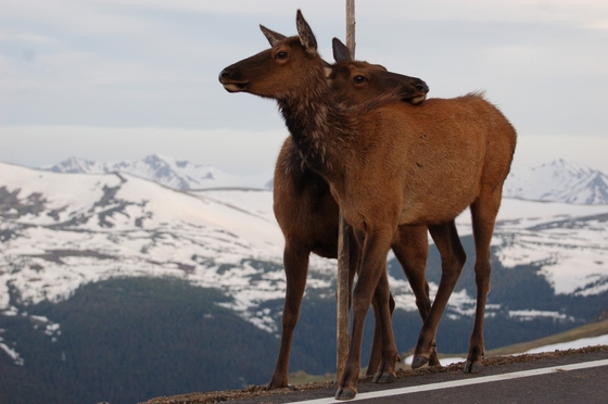 Rocky Mountain National Park