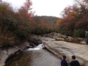 Pisgah National Forest