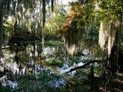 Jean Lafitte National Historical Park & Preserve - Barataria Preserve
