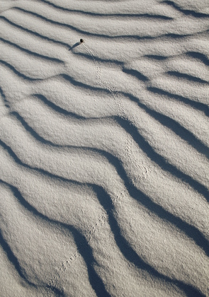 White Sands National Monument