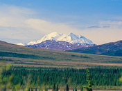 Denali National Park