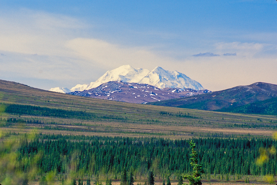 Denali National Park