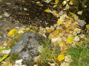 Lassen National Park