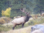 Rocky Mountain National Park