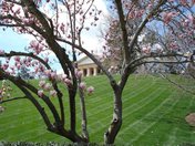Arlington National Cemetery