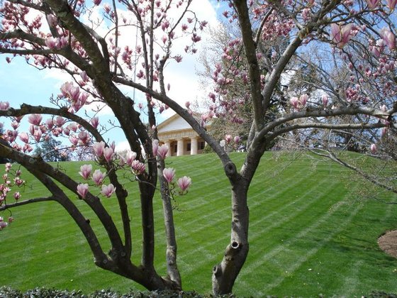 Arlington National Cemetery