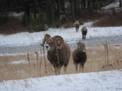 Glacier National Park