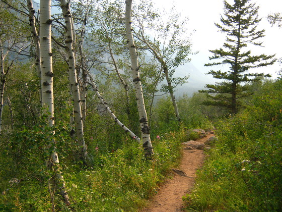 Jedediah Smith Wilderness