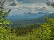 Denali National Park