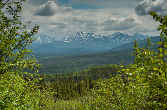 Denali National Park
