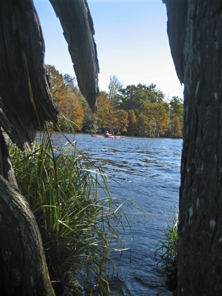 Great Dismal Swamp National Wildlife Refuge