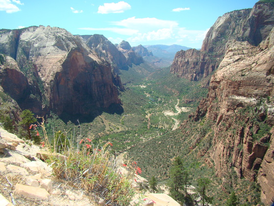 Zion National Park