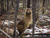 a little out of place