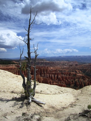 Bryce Canyon