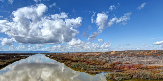 Don Edwards San Francisco Bay National Wildlife Refuge