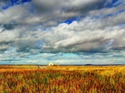 Don Edwards San Francisco Bay National Wildlife Refuge
