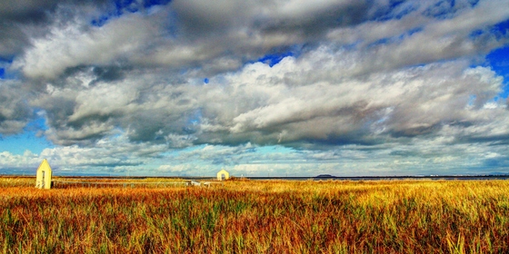 Don Edwards San Francisco Bay National Wildlife Refuge