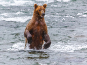 Katmai National Park