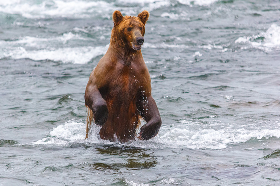 Katmai National Park