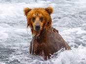 Katmai National Park