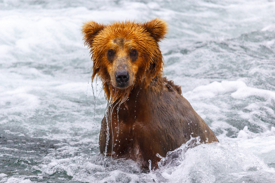 Katmai National Park