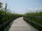 Back Bay National Park