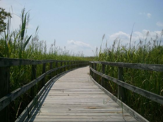 Back Bay National Park