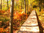 Indiana Dunes National Lakeshore
